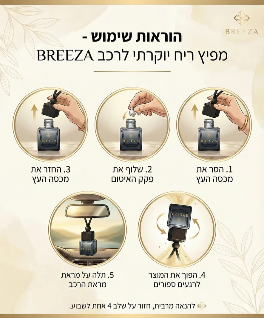 אינפוגרפיקה רכב אינפוגרפיקה רכב